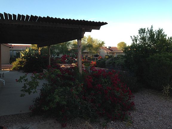 Back Patio