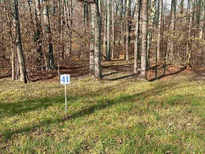 41 Winterset Dr, Davis, WV, 26260