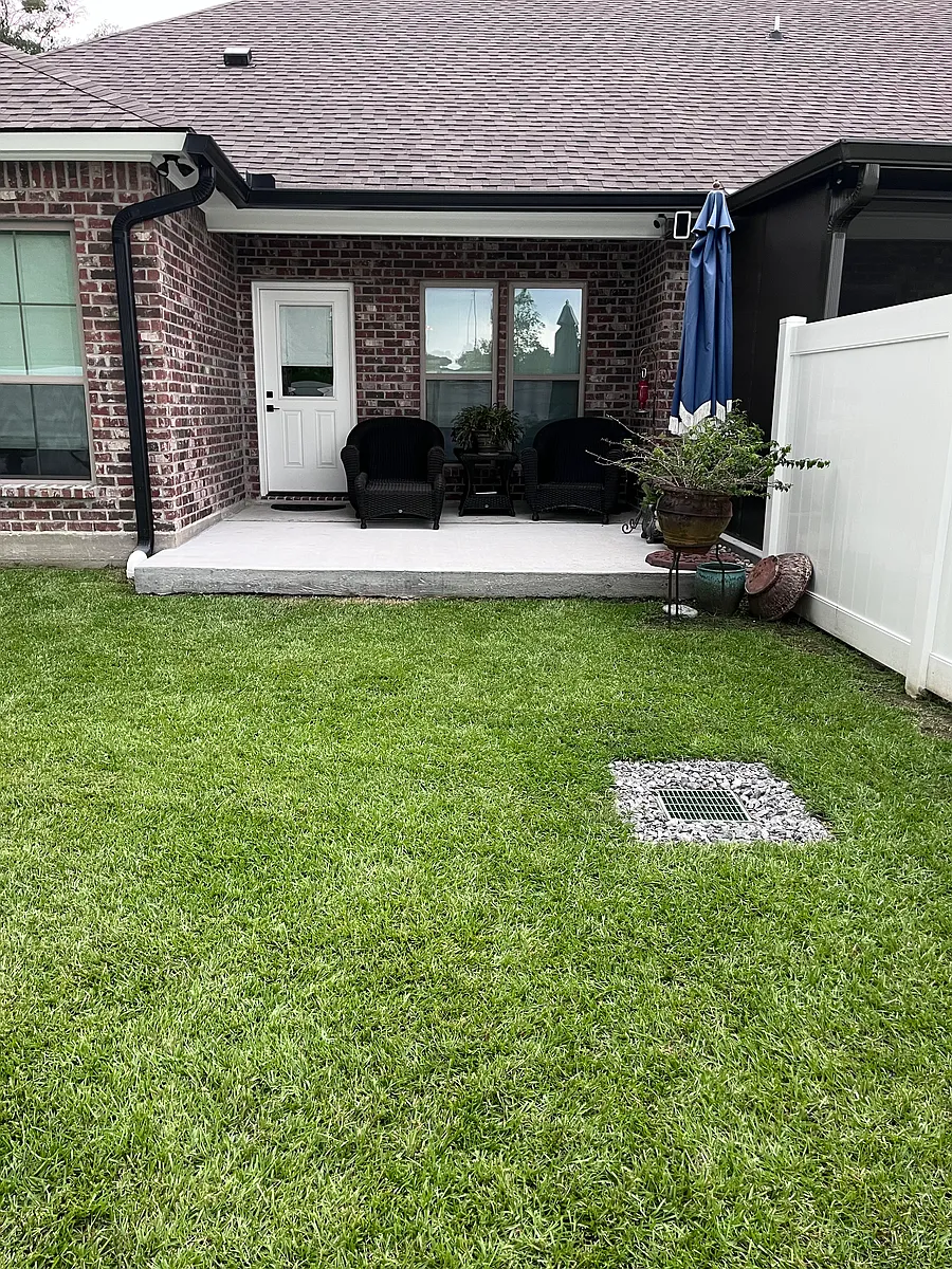 Building Photo - 37071 Woodbine Ct
