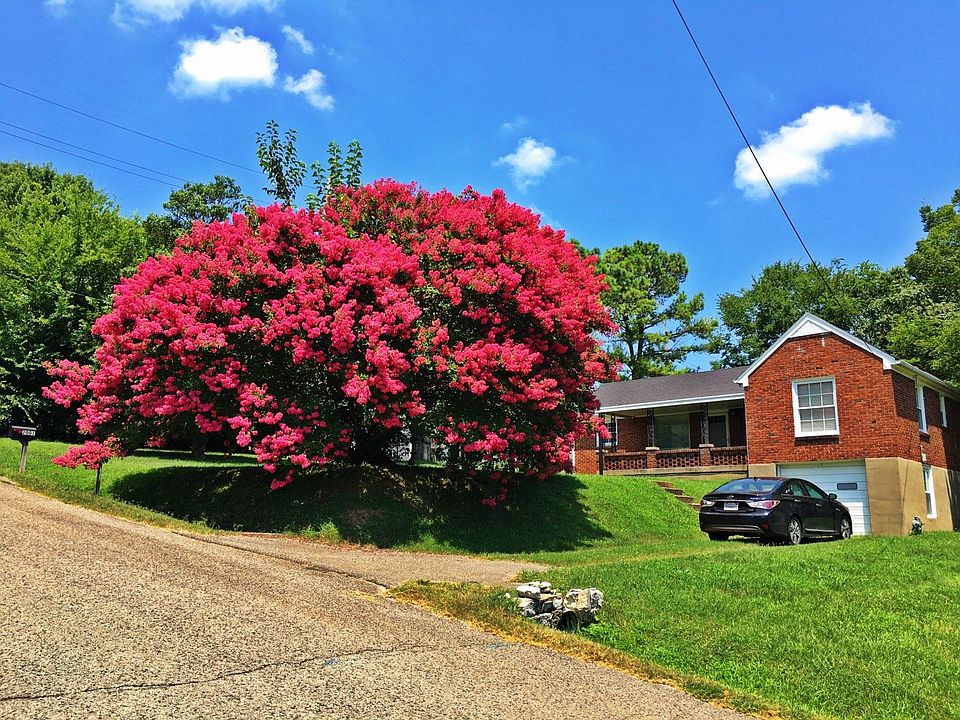 Front of the House in full Bloom