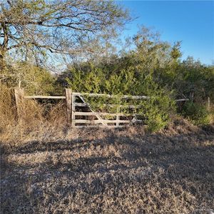 0 County Road 313, Encino, TX, 78353