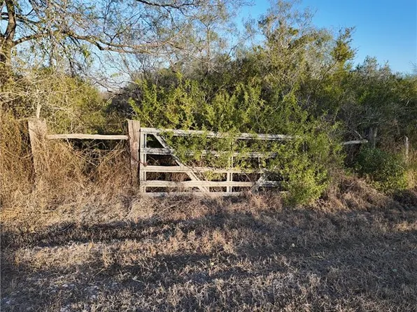 0 County Road 313, Encino, TX 78353