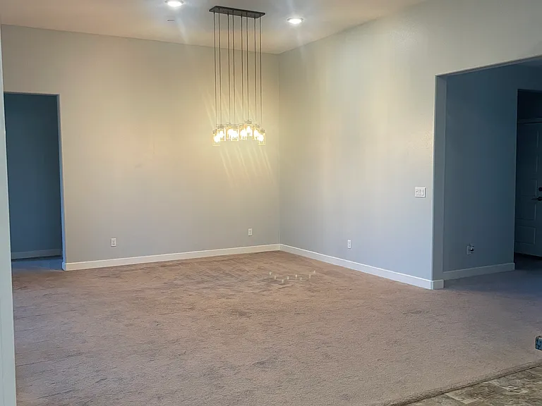 29646 Saddlebred Cir — Photo 50