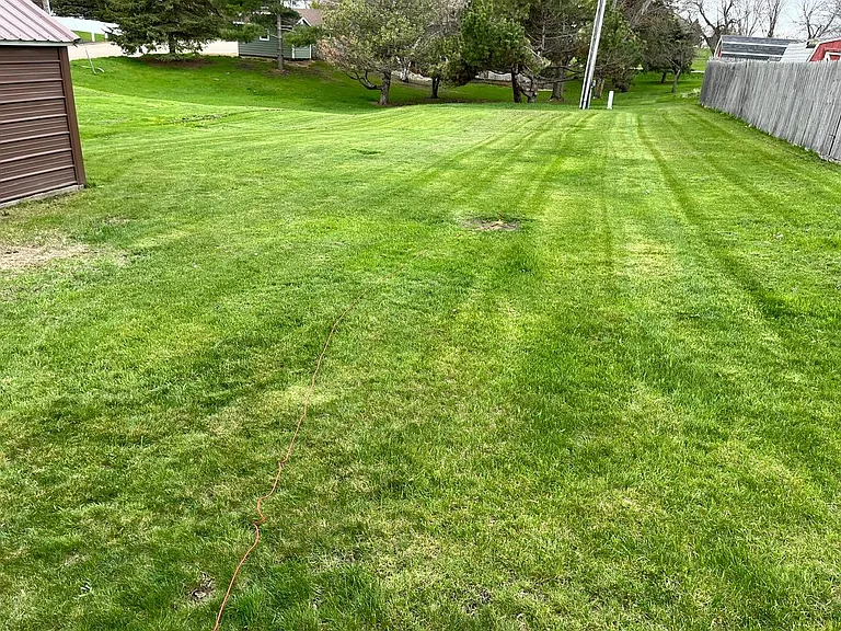 Spacious Back Yard