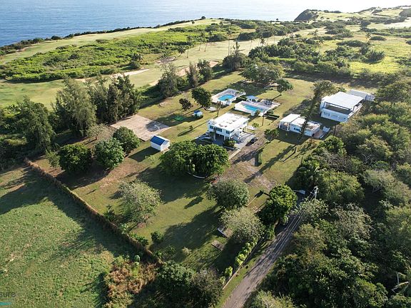 4th image of 201 Begonia Final