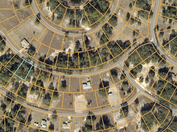 0 Malauka Radl #18, Ocklawaha, FL 32179