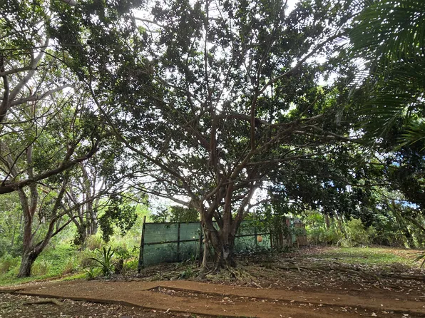 3215C Wawae Rd, Kalaheo, HI 96741