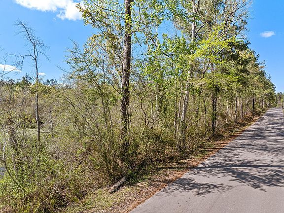 4th image of 163 Piatonia Rd