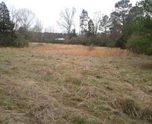 3rd image of 23541 Attala Highway 35