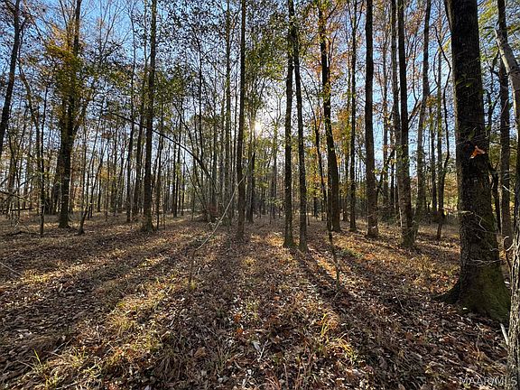 5th image of 8 Jug Factory Rd