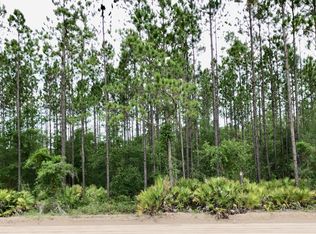 0 Pender Raulerson Rd, Sanderson, FL 32087