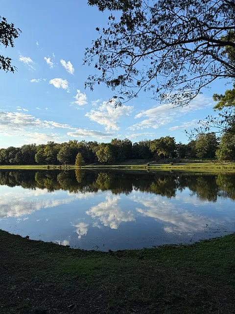 Primrose Dr, Conway — Photo 4
