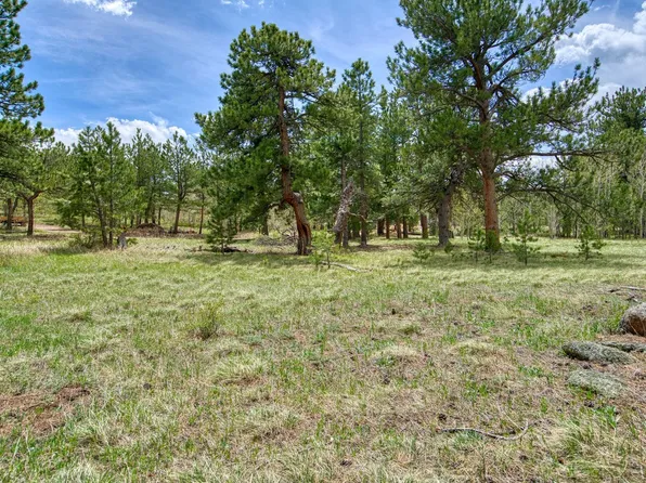 73 Sparn Way, Ward, CO 80481