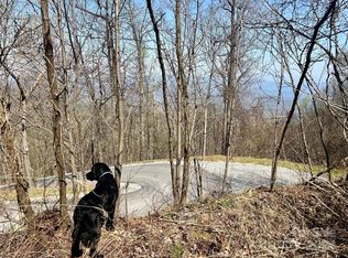 858 Mitchell View Dr #858, Old Fort, NC 28762