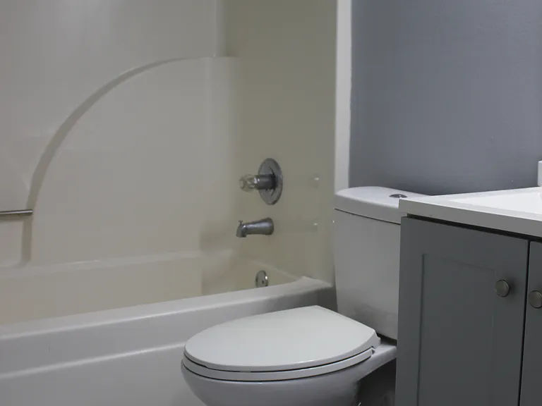 main level guest bathroom