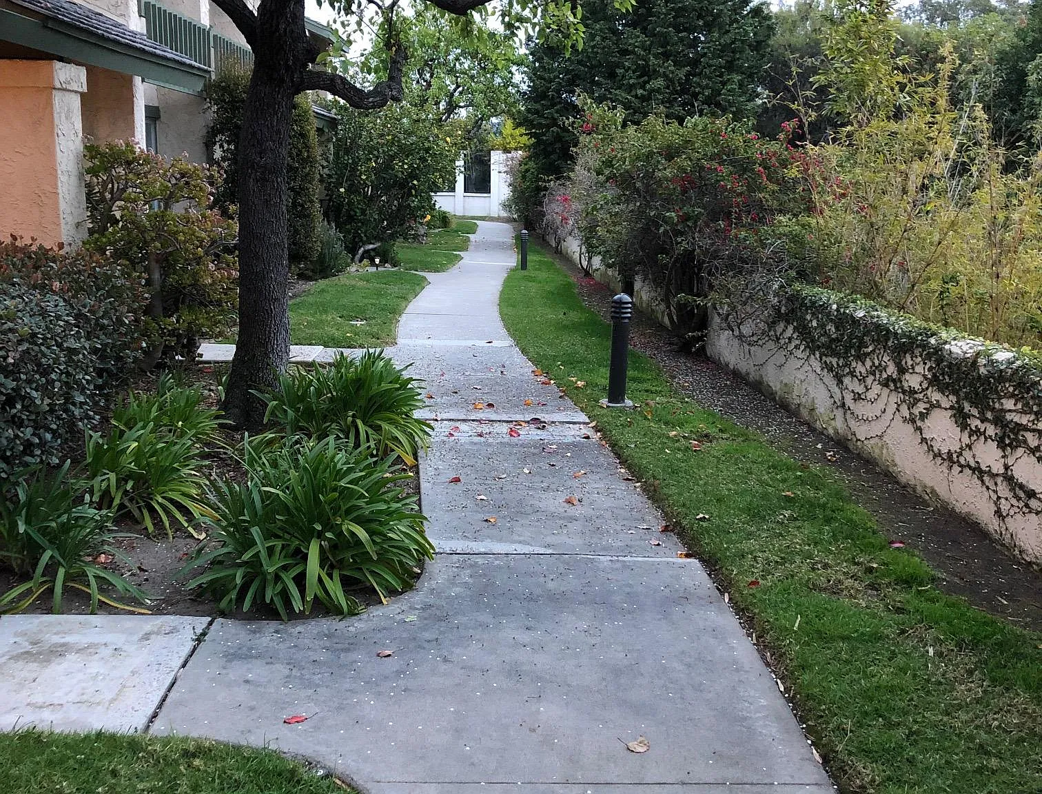 3 bed, 2.5 bath, 1380 sqft, $4,800 — Photo 4