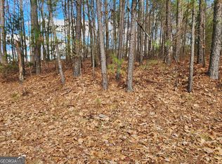 91 Cannon Ridge Vw, Dallas, GA 30132