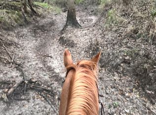 County Road 3226, Lone Oak, TX 75453