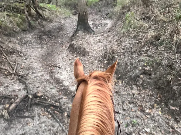 County Road 3226, Lone Oak, TX 75453