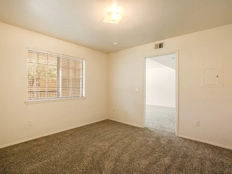 Large bedroom with plush carpeting