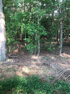 0 Luke Bouknight Rd, Starr, SC, 29684