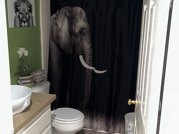 Your own private bathroom. Decorations can be removed