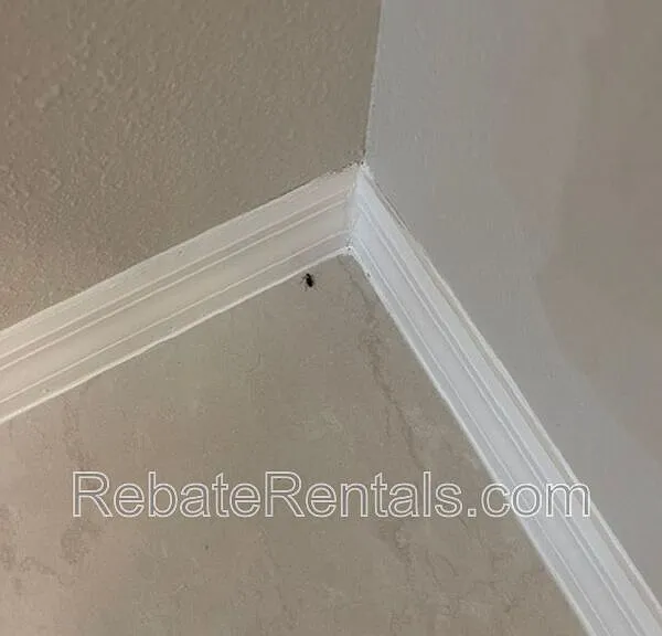 14314 Dovewind Ct — Photo 26