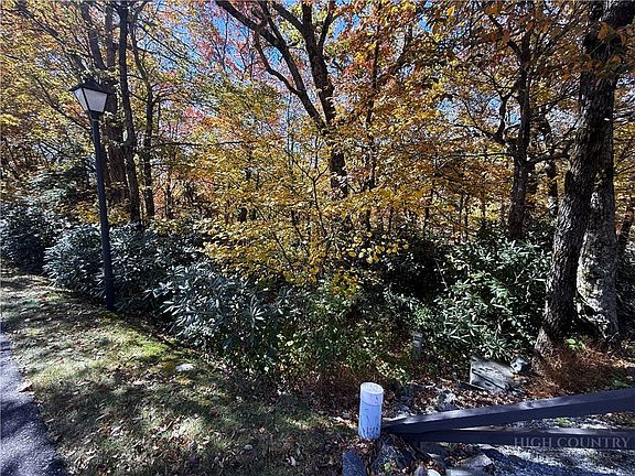 5th image of Lot 61 Boone Coffey Trail