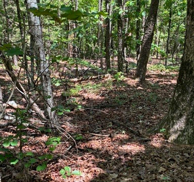 1st image of Castano Ln Lot 12