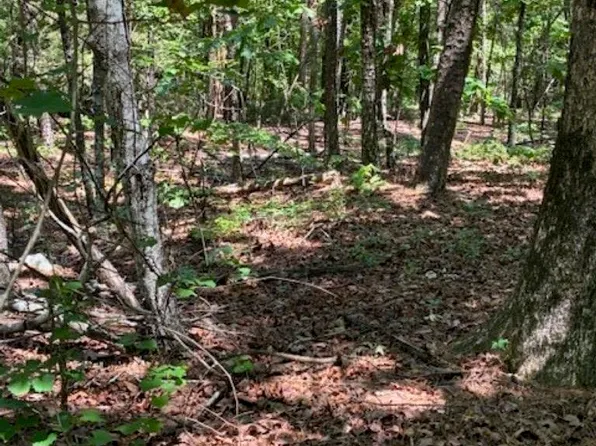 Castano Ln Lot 12, Hot Springs Village, AR 71909