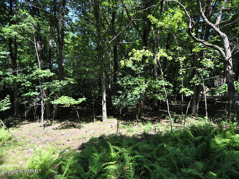 1st image of 88 Honeysuckle Dr