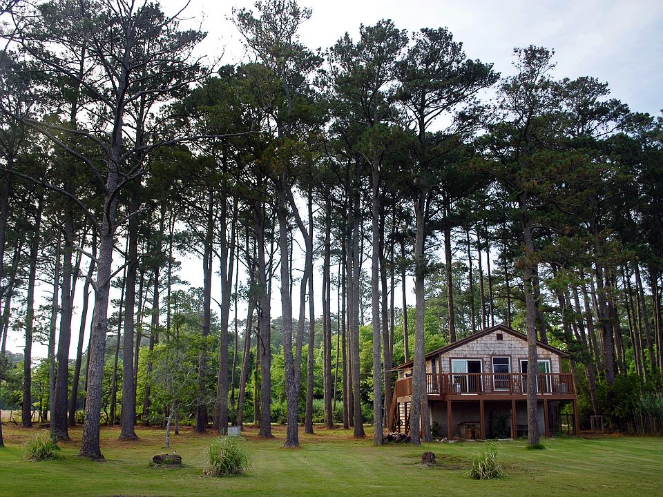 Surrounded by nature.