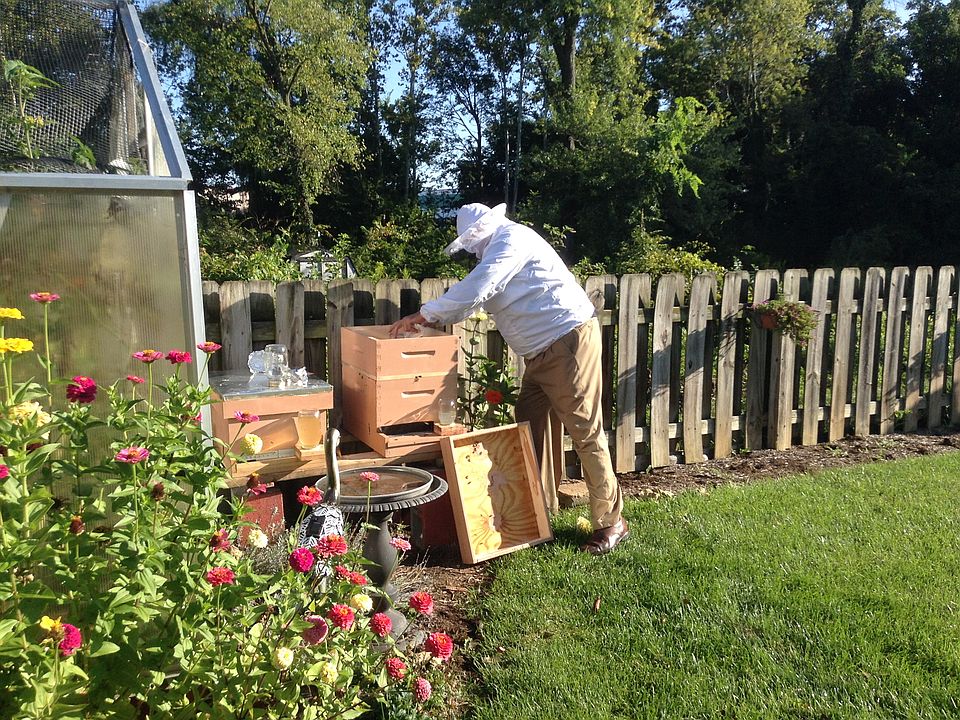 fresh honey