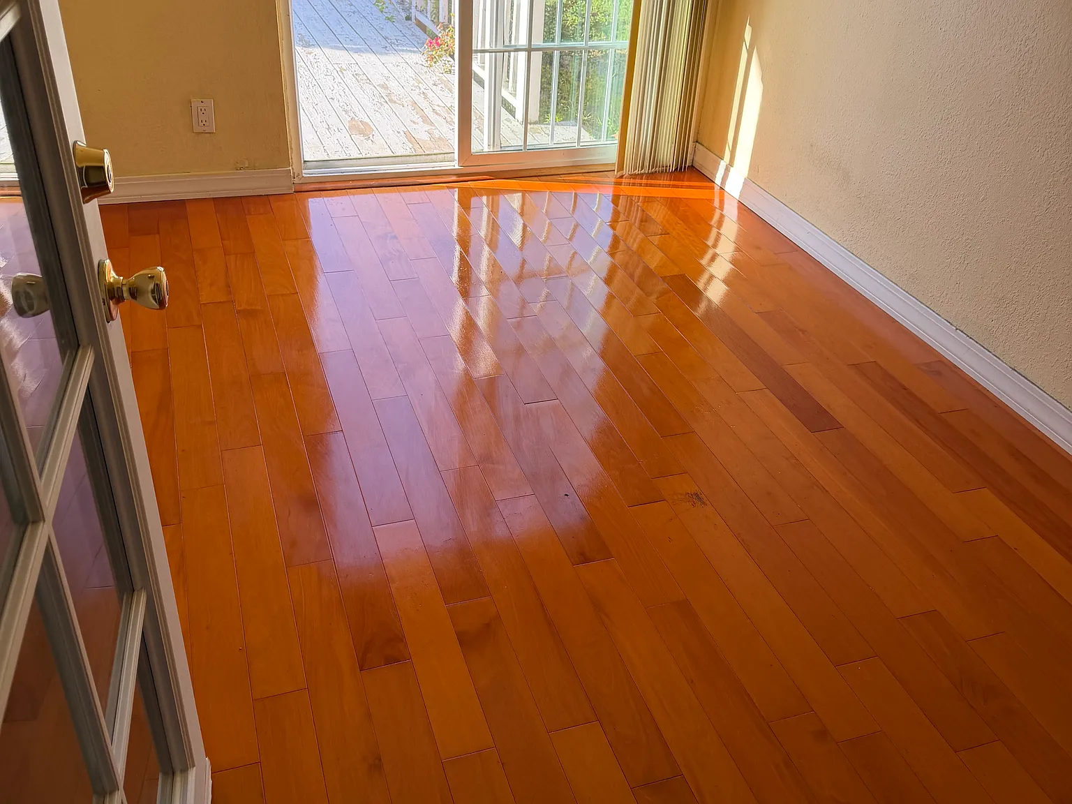 1 bed, 680 sqft, $950 — Photo 3