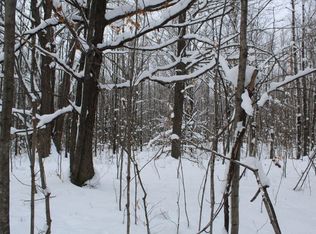 Snake Branch Rd, Mio, MI 48647