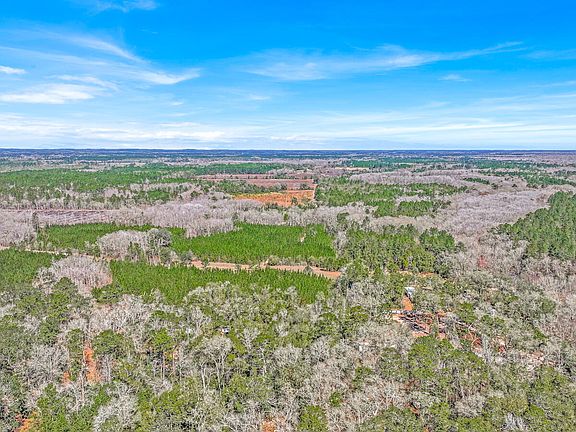 5th image of Cedar Log Lake Rd