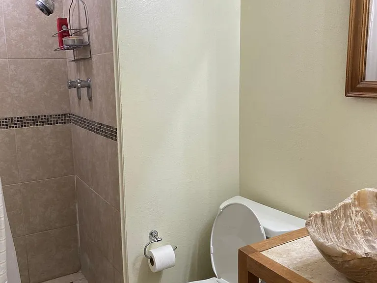 1800 N Stanton St #908 — Photo 8