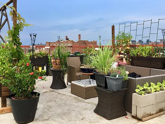 Rented by Manhattan Management LLC | media 66