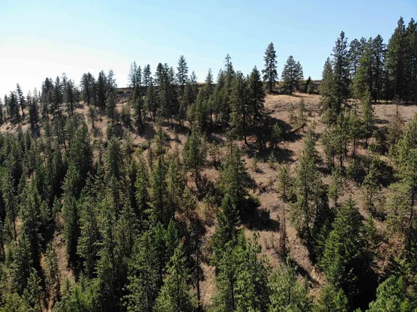 Hawk Creek Ranch Rd N, Davenport, WA 99122