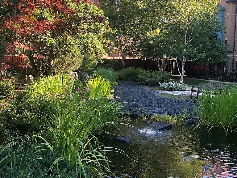 Enjoy the Block Y courtyard with koi pond