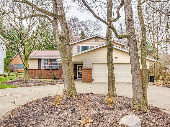 Leafy trees in summer