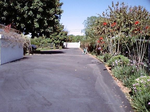 Back Gate/Driveway