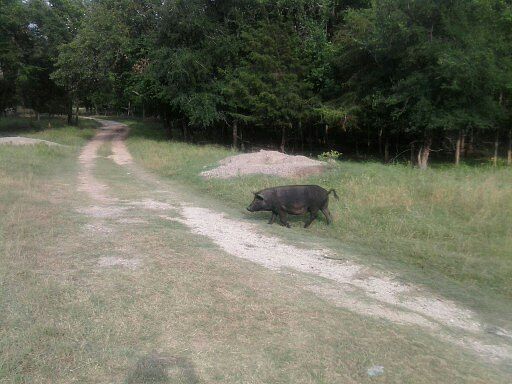 Company is visting today