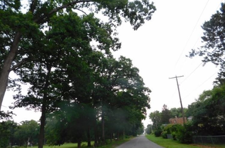 2nd image of 55348 Moss Rd