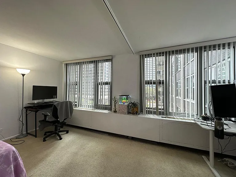 400 E Randolph St #921 — Photo 15