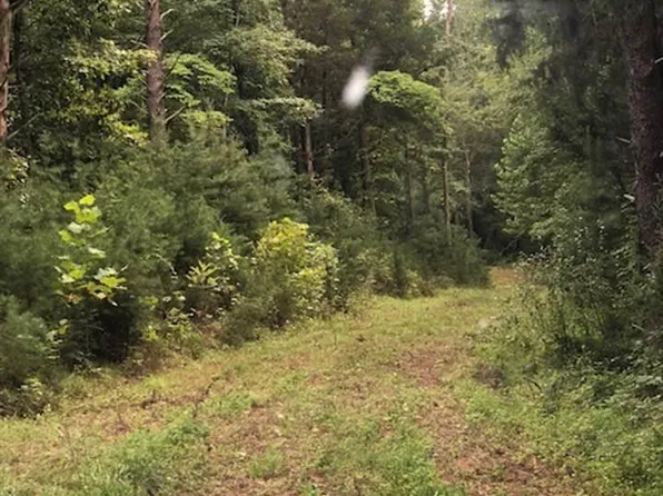 0 Esmont Rd, Esmont, VA 22937