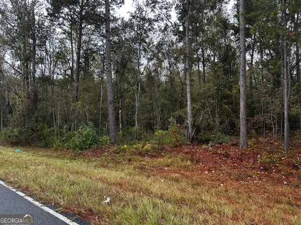 0 Erick Rd, Alamo, GA 30411
