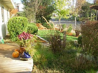 View of front yard and Arroyo Way from the porch