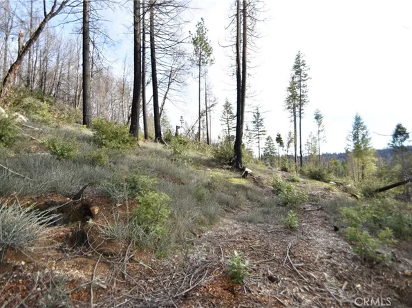 0 Lake Madrone Rd #30-34, Berry Creek, CA 95916