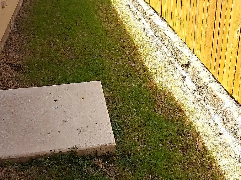 Side of the fence IN